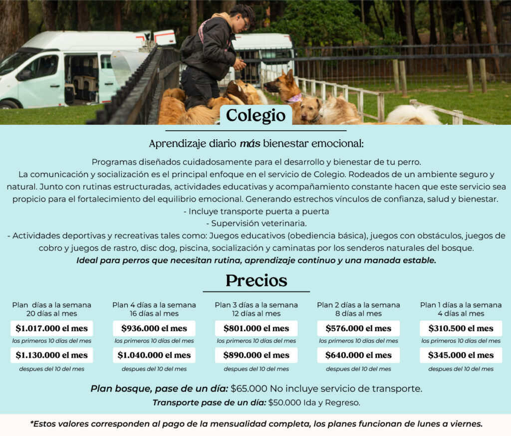 Colegio canino en Bogotá con aprendizaje diario, socialización guiada y planes mensuales en El Bosque Canino