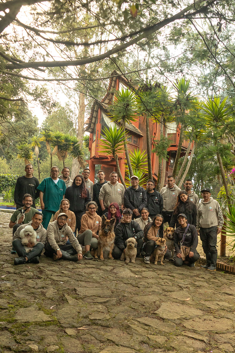 Equipo de cuidadores y entrenadores de El Bosque Canino en Bogotá